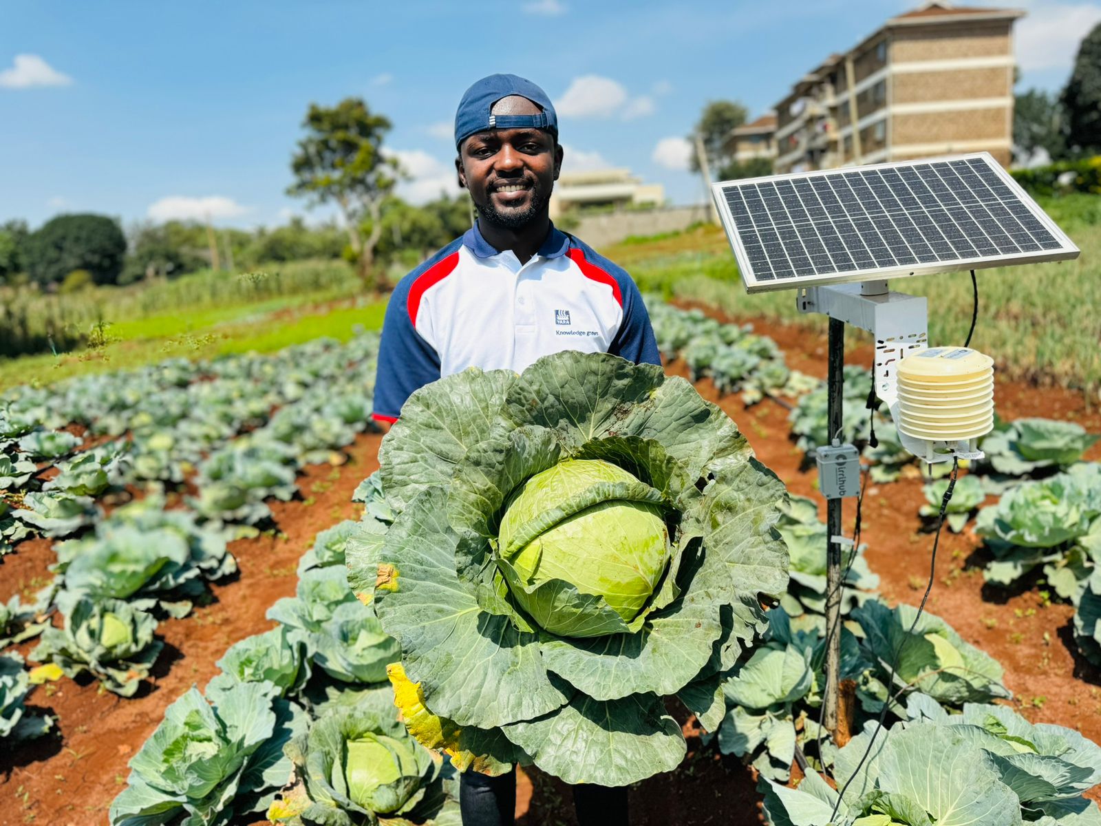 The inspiring journey of Ronald Diang'a into regenerative farming