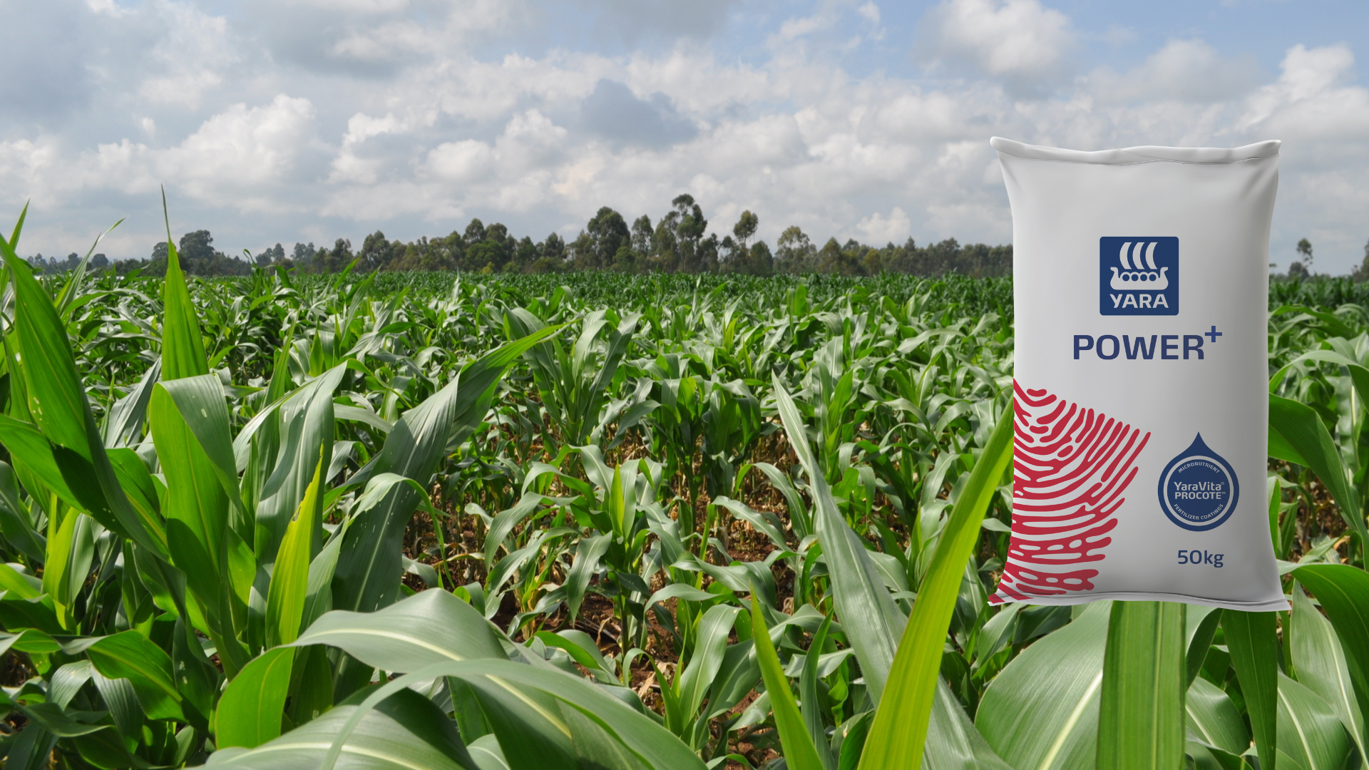 Plant with Confidence with Yara POWER+