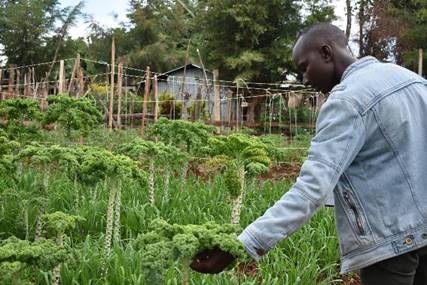 Accurate Weather Predictions For Better Planning